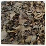 Radal hierba 200g. Agronewen