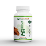 Maytenus Plus Chuchu Huasi/ Uña de Gato 60 Cápsulas Vegetales  Vibralab