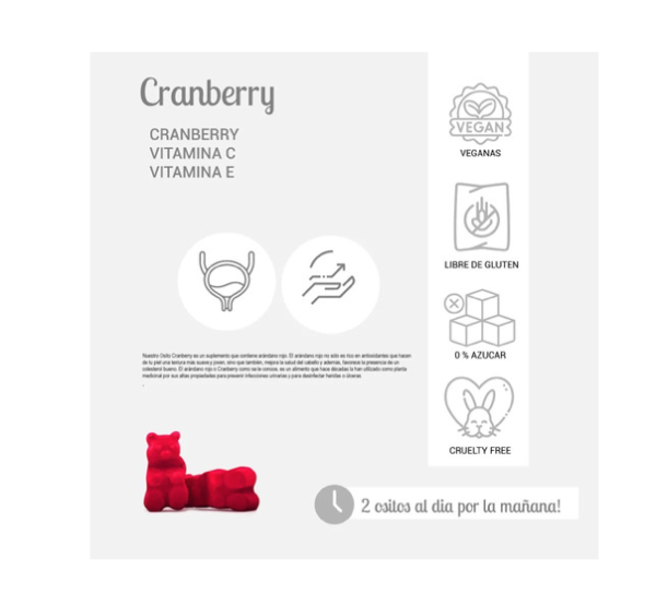 Cranberry Vitamina C y Vitamina E 60 Gomitas Veganas sin Gluten Perfect Bear - Image 3