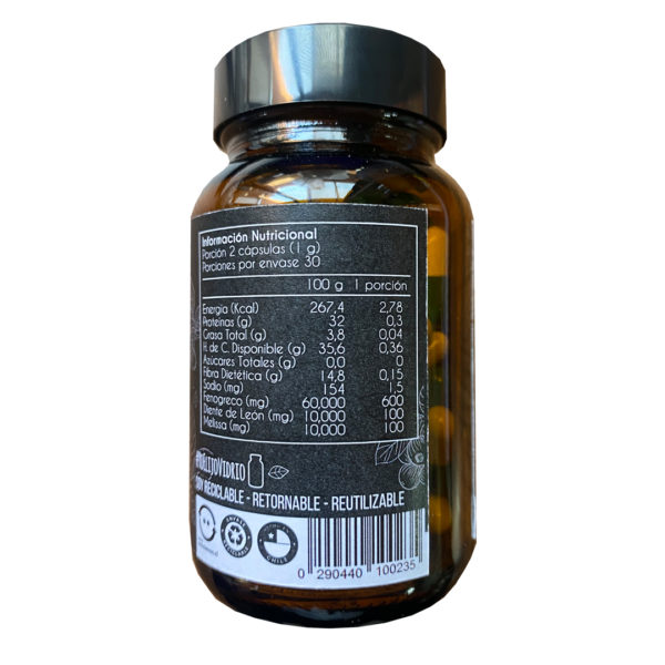Gastrinat 60 Cápsulas 500mg. Bienestar Digestivo Natural Telchi - Image 2