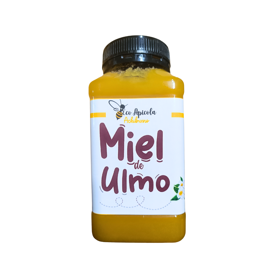Miel De Ulmo 1kl 100 Pura Y Natural Apicola Achibueno Agro Newen miel-de-ulmo-1kl-100-pura-y-natural-apicola-achibueno-agro-newen