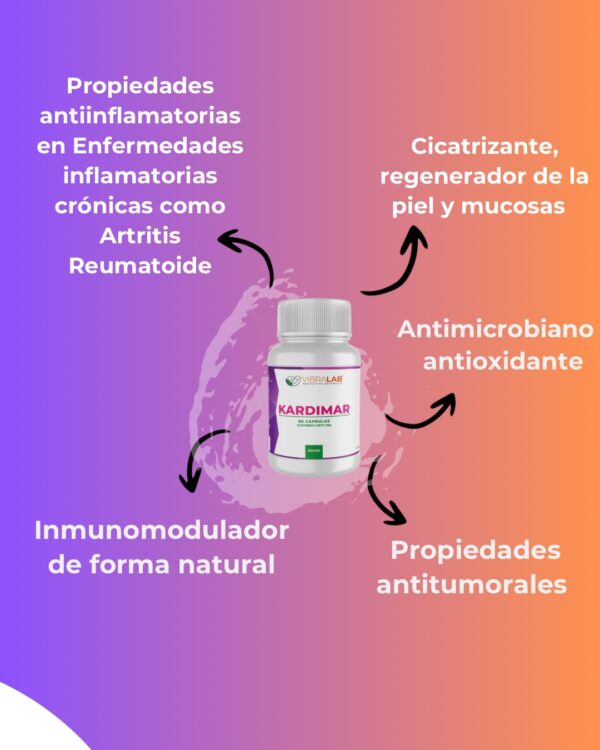 Kardimar 60 Cáps. 500mg Anamu / Centella Asiatica. Vibralab - Image 3