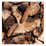 Callampas o Setas Deshidratadas 200g. Agronewen