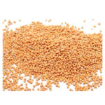 Mostaza Amarilla Entera 1Kg. Agronewen