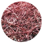 Sanguinaria Hierba 200g. Agronewen